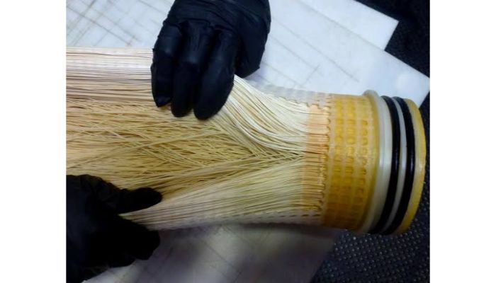 Hollow Fiber Membrane Section